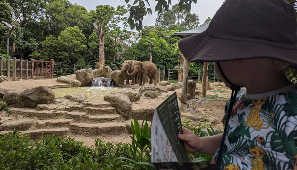 Experiences + Book = Gift (Zoo Membership) Booking for 4